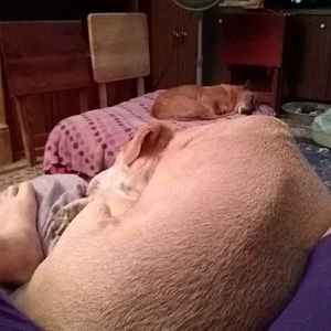 A couple of my babies!